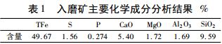 入磨矿主要化学成分分析结果